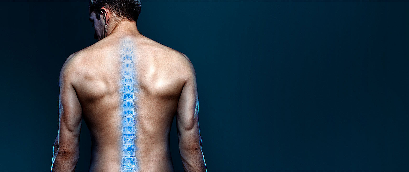 Illustrated backbone over person's back